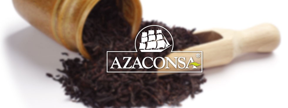 Azaconsa